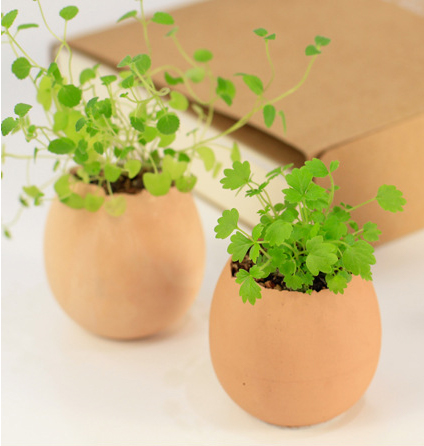 PNGift 香港禮品