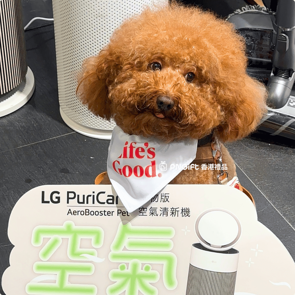 Hong Kong Gift