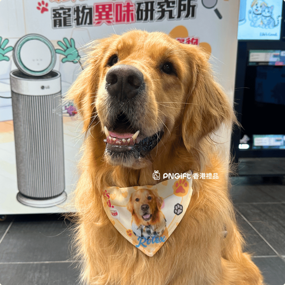Hong Kong Gift