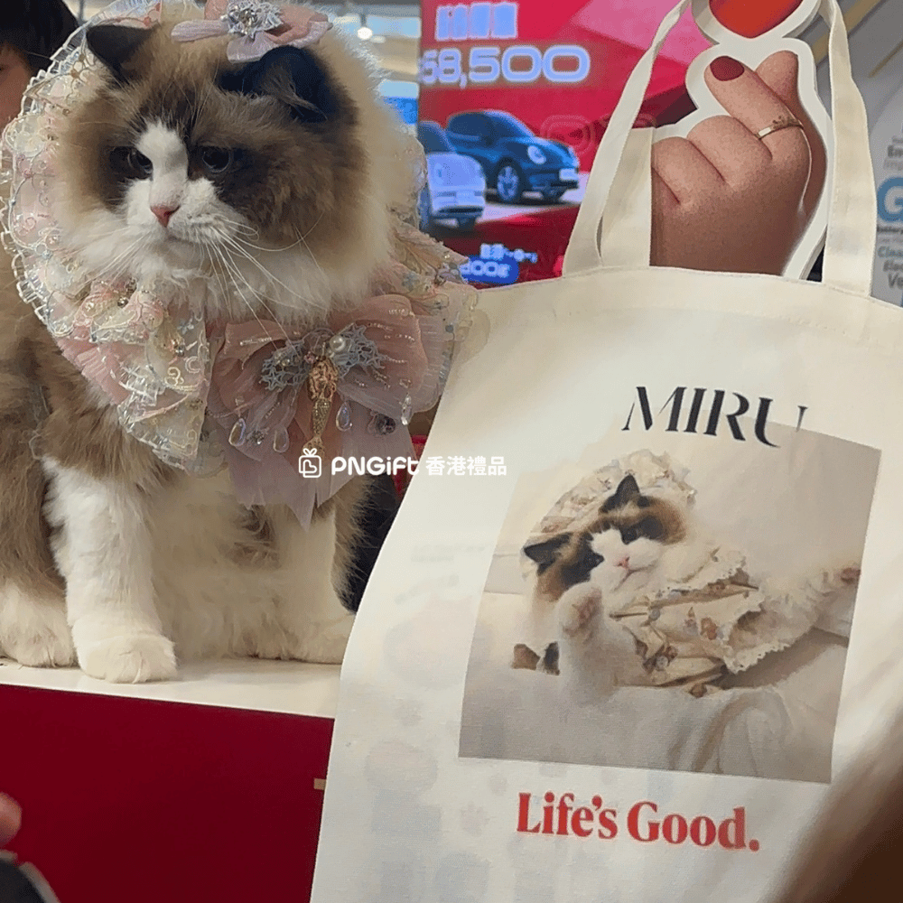 Hong Kong Gift