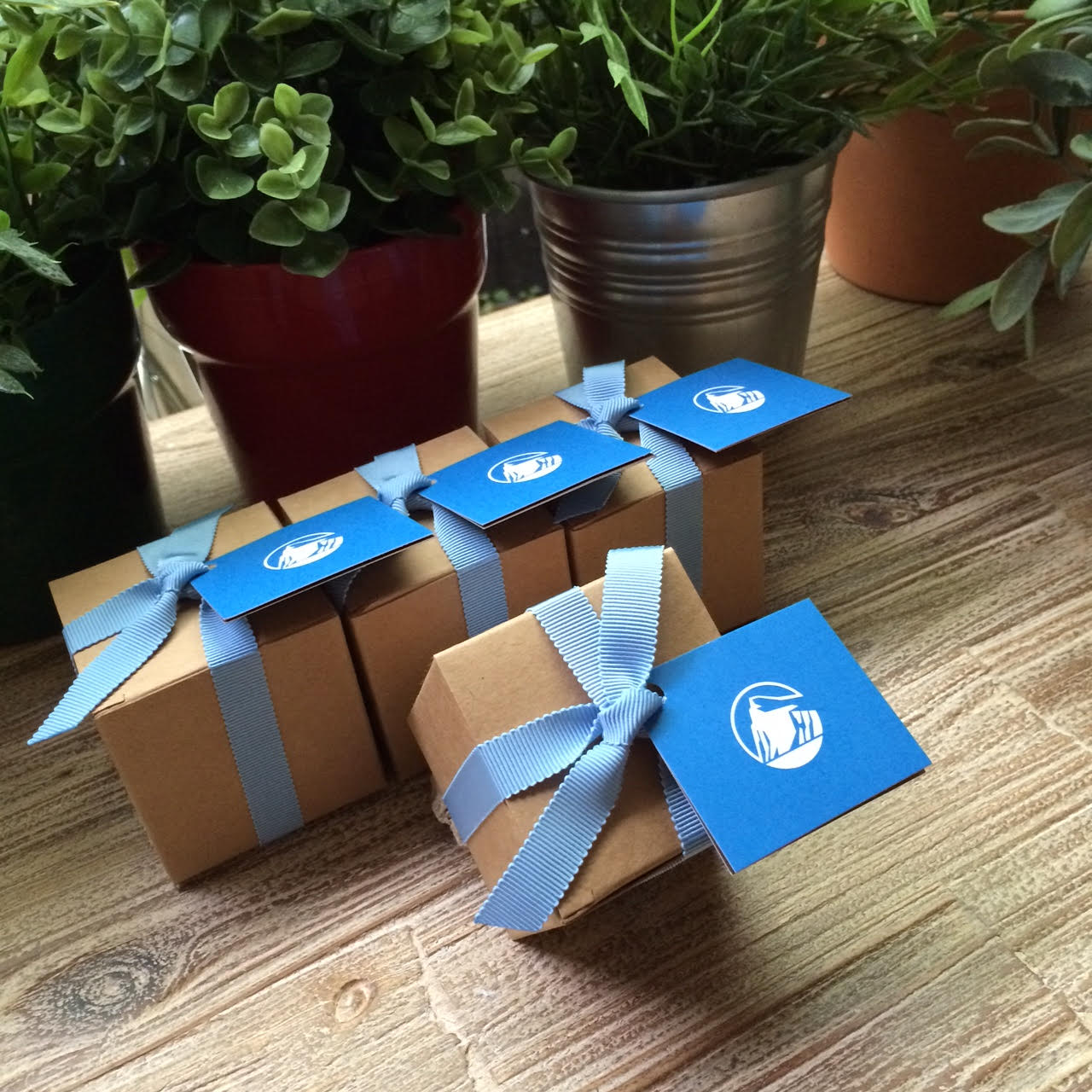 PNGift 香港禮品