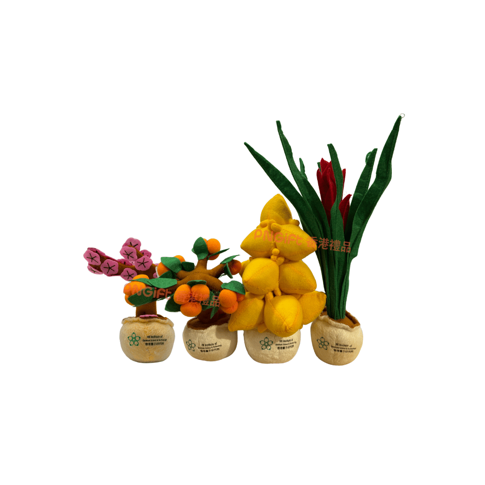 PNGift 香港禮品